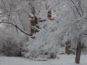 Treehouse-in-the-Snow_P2140005