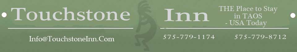Chameleon Logo