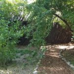 Path to Cloisters Cottage